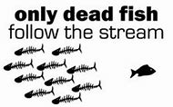 dead fish.jpg